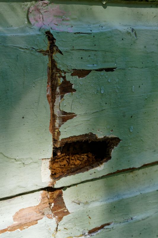 Decayed Wood Replacement in Conroe, TX
