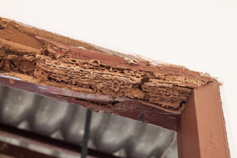 Decayed Wood Replacement in Kansas City, MO