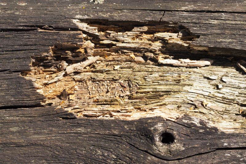 Decayed Wood Replacement in Denver, CO