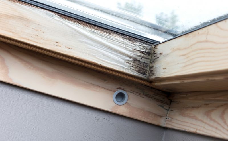 Dry Rot Damage Inspection