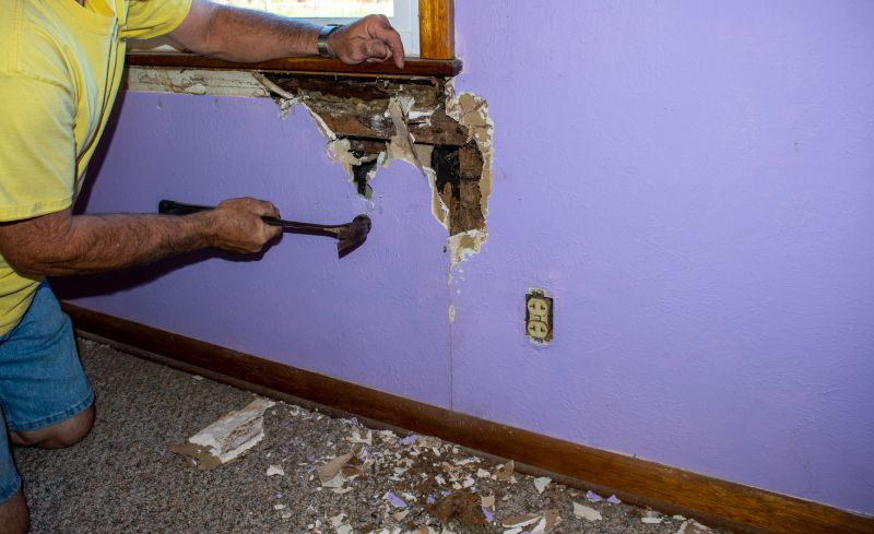 Pest Damage Repair in Arvada, CO
