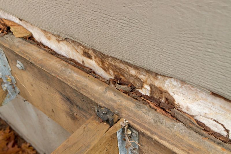 Rotten Wood Repair in Overland Park, KS