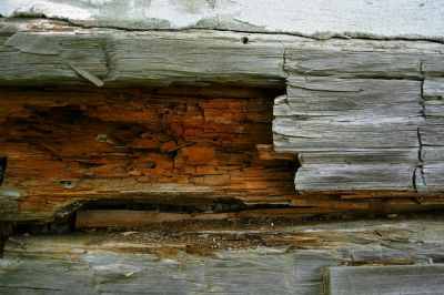 Rotten Wood Repair in Conroe, TX