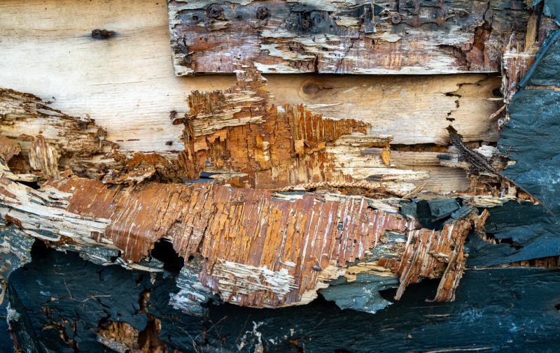 Rotten Wood Repair in Kansas City, KS