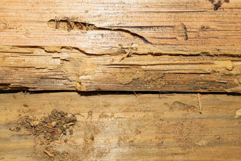 Rotten Wood Repair in Denver County, CO