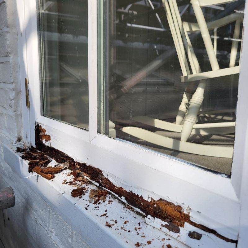 Window Rot Repair in Wilmington, NC