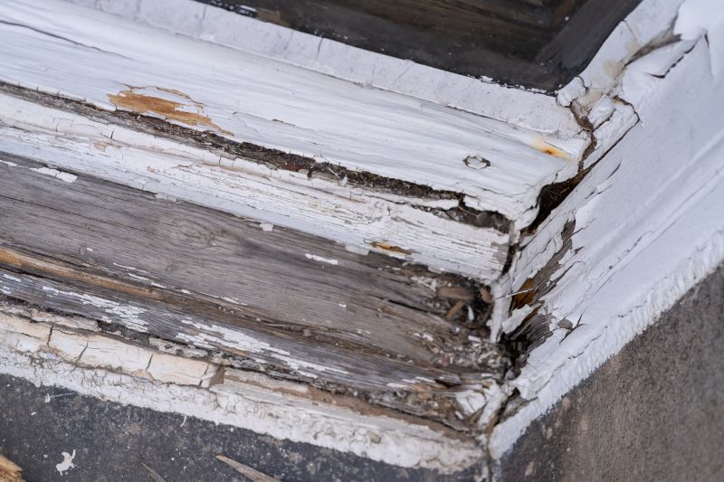 Wood Decay Removal in Indianapolis, IN