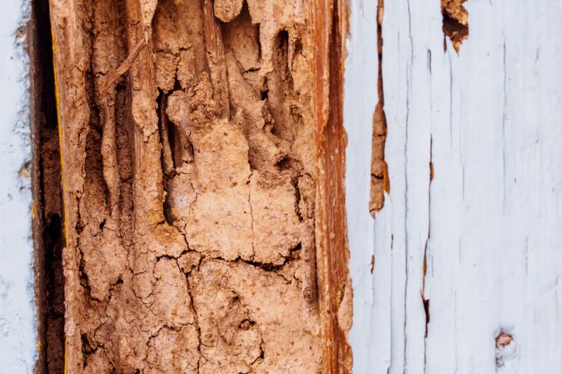 Wood Rot Removal in Roswell, GA
