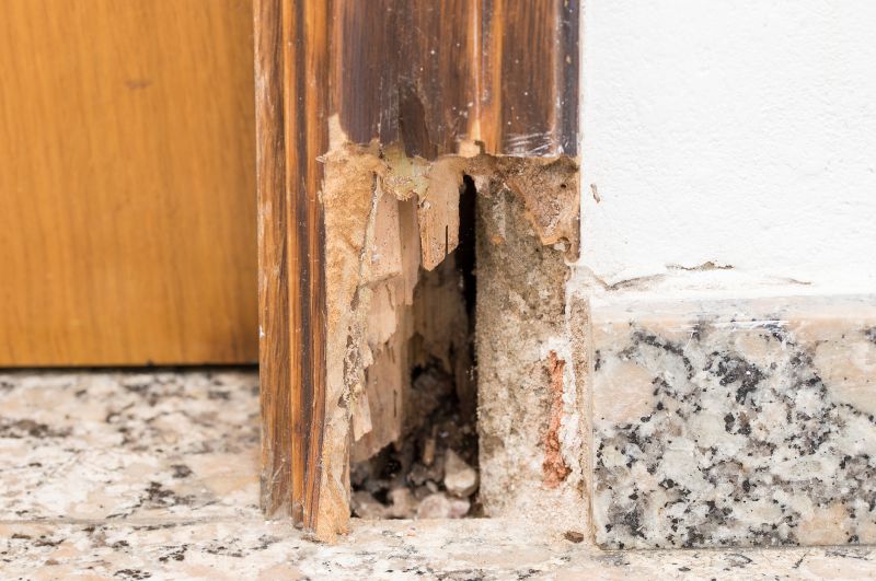 Wood Rot Repair in Alpharetta, GA